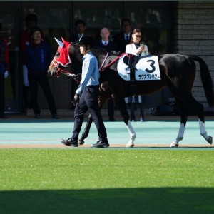 2025/11/30 2歳新馬