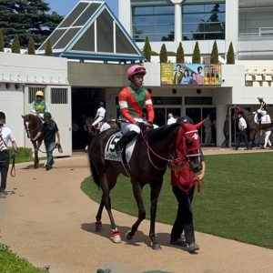 新馬戦パドック③