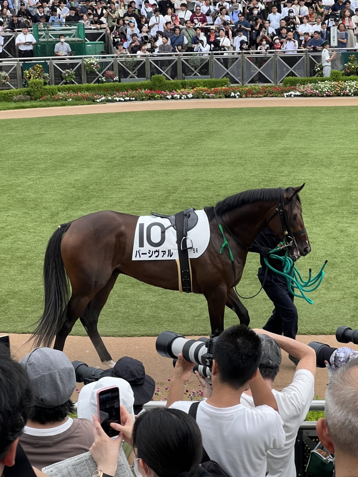 2025/9/28 2歳新馬 パーシヴァル
