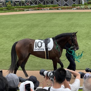 2025/9/28 2歳新馬