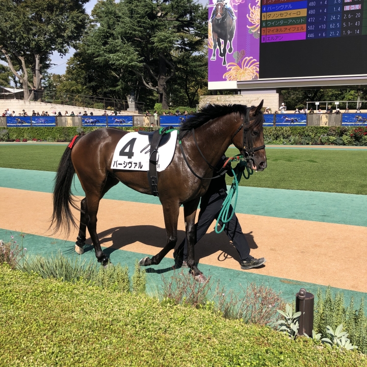 2025/10/18 2歳未勝利 パーシヴァル