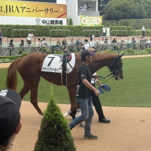 2025/9/13 2歳未勝利