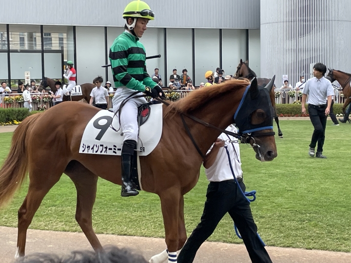 新馬戦パドック丹内騎手と シャインフォーミー
