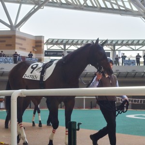 2026-03-28 阪神 3歳未勝利