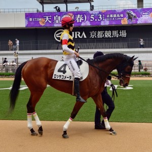 2026/4/25 3歳未勝利(牝)