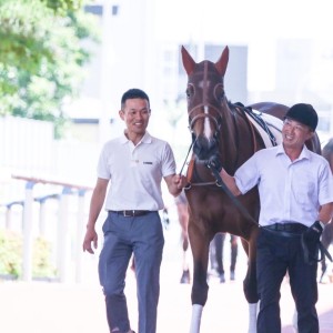 2025/7/12 2歳新馬