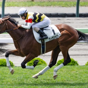 2025/7/12 2歳新馬