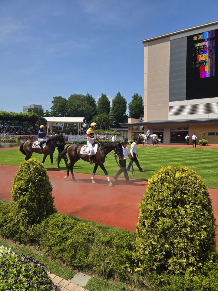 2025/8/31 2歳新馬 エオリアンリッジ