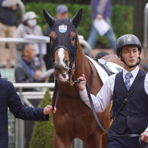 2025/12/6 2歳新馬