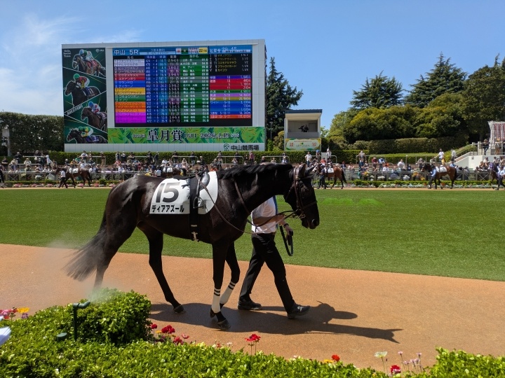 3歳未勝利戦芝2200m ３着 ディアアズール