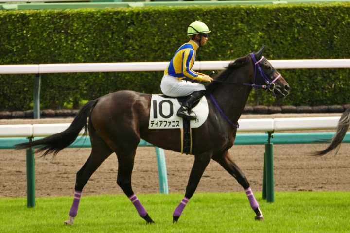 2025年9月 ディアファニス