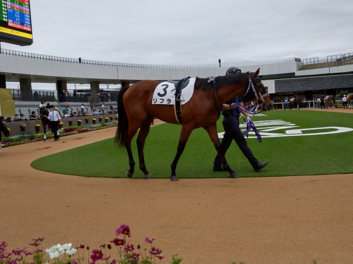 2025年10月 リフラ