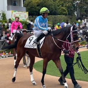 2026/3/28 3歳未勝利