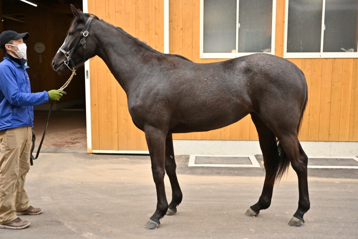 小野町見学時 コウギョク