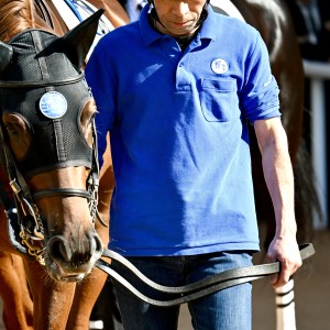 20251123 2歳新馬戦（京都芝1,800m）