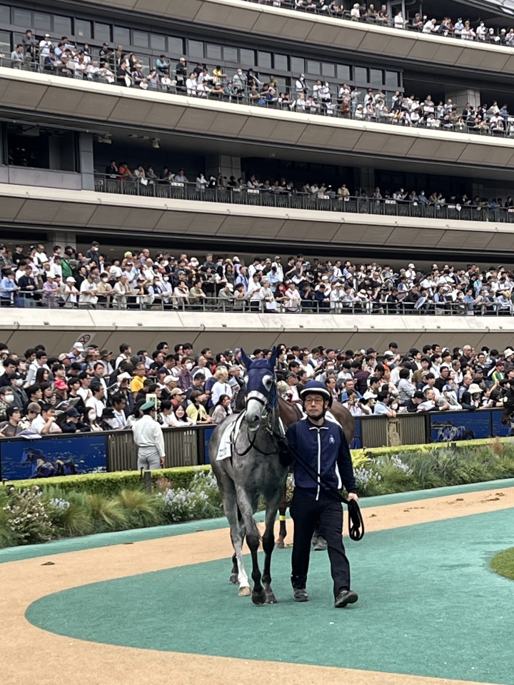 2025/10/12 2歳未勝利 フロステリオン