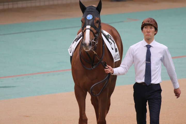 2025年10月12日 2歳新馬戦パドック ゴールデンスラム