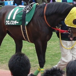 クロノスシチー