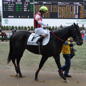 １月１８日中山　障害デビュー戦パドックにて