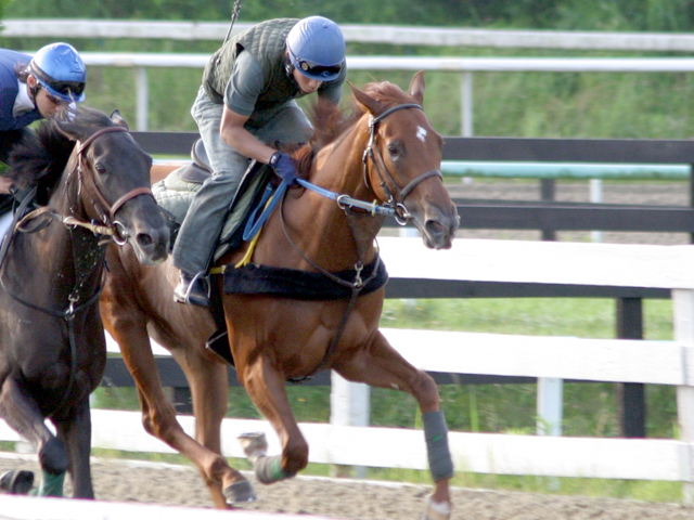 山本トレセン キャッチータイトル