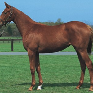 募集時（２００３年３月６日）