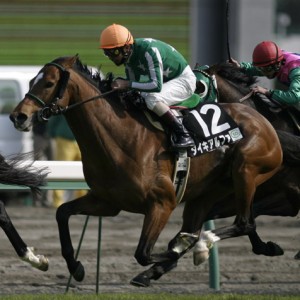 メイズイメモリアル 