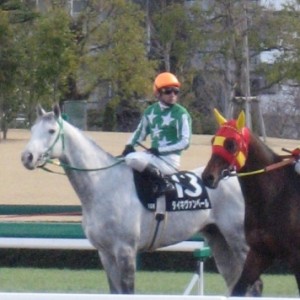 2007/3/11　阪神・甲南S
