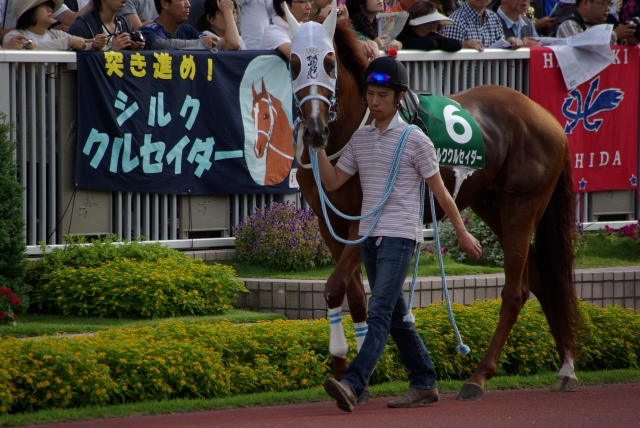 エルムS シルククルセイダー