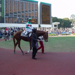 パサディナ新馬戦