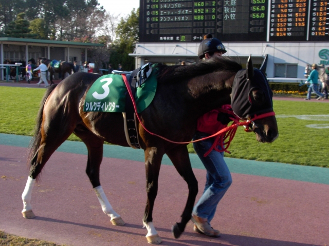 １２／１１中京競馬場 シルクディレクター