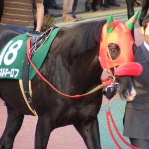 07中日新聞杯
