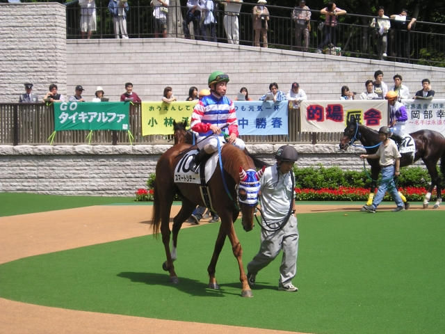 東京競馬場パドックにて（横山典弘騎手騎乗） スマートシチー