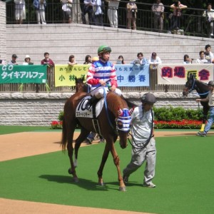 東京競馬場パドックにて（横山典弘騎手騎乗）