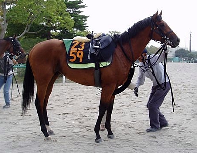 2005年9月下旬　茨城県ミッドウェイファーム ウインクローネ