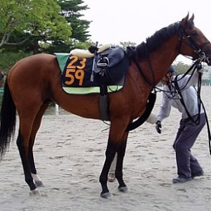 2005年9月下旬　茨城県ミッドウェイファーム