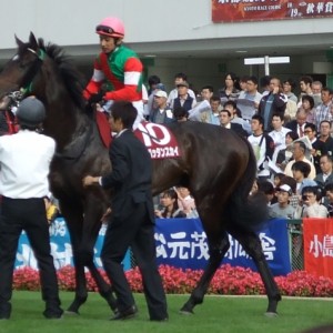 10月12日京都大賞典パドック