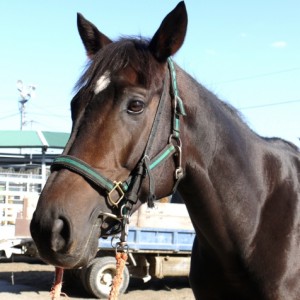 宇治田原でのんびり