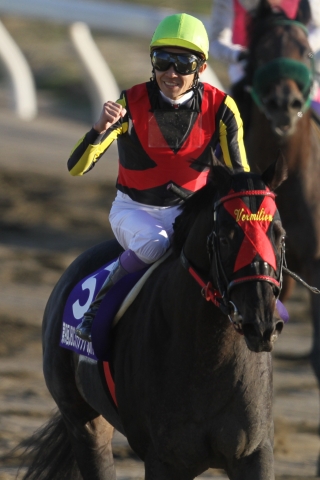 第9回JBCクラシック ヴァーミリアン