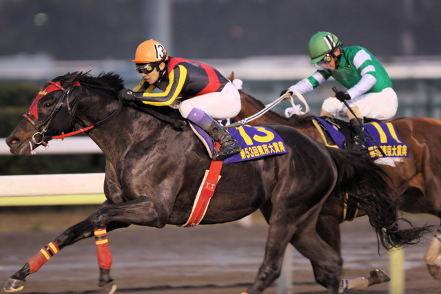 2007/12/29 大井 東京大賞典 ヴァーミリアン