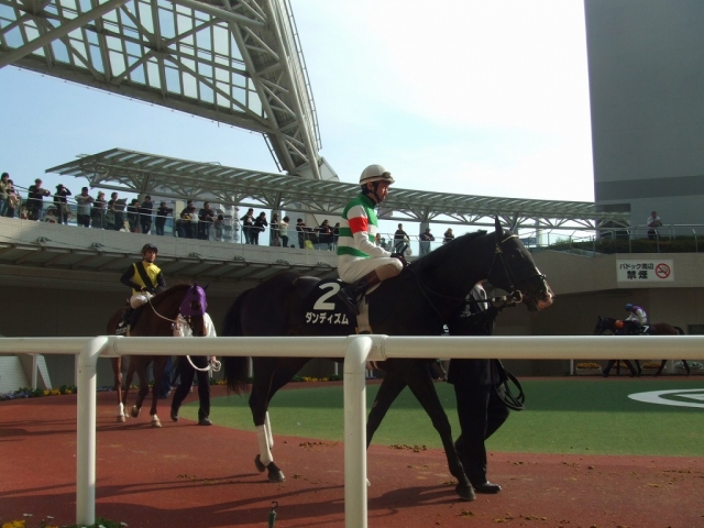 仁川ステークス　パドック ダンディズム