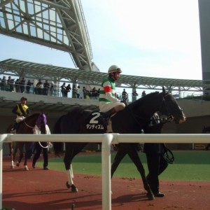 仁川ステークス　パドック