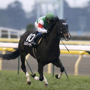 白富士ステークス