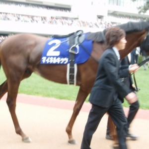 天皇賞春パドック（４）