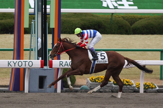 2008/01/20 京都７R ４歳上500万 ダブルダンスシチー