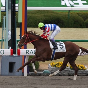2008/01/20 京都７R ４歳上500万