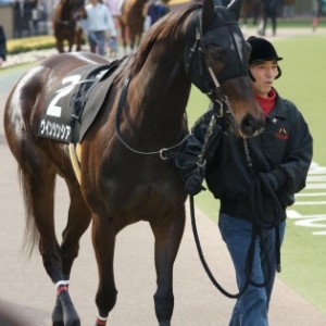 アメジストＳ　パドック①