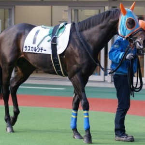 11/22　福島戦パドック