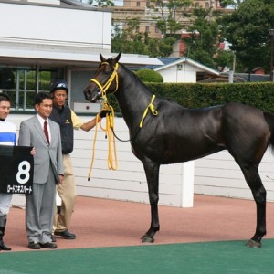 都井岬特別