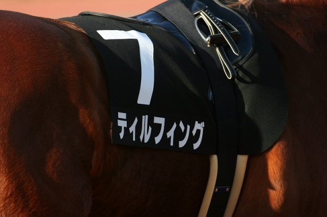 金山特別 ティルフィング