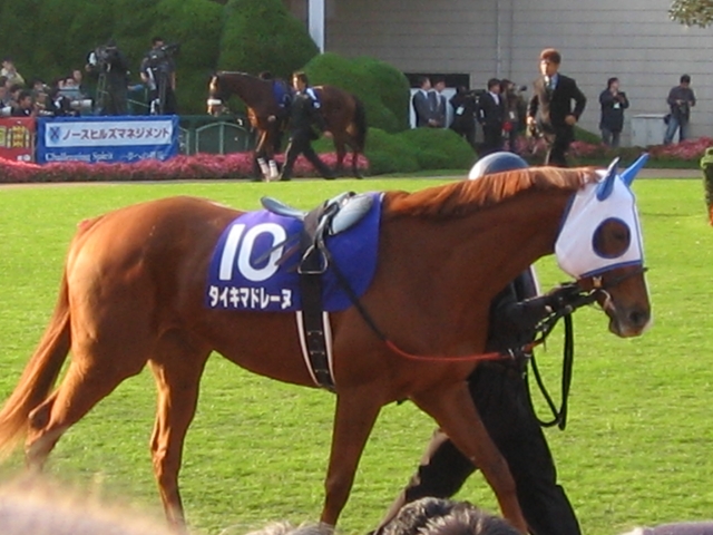 マドちゃん初GⅠ タイキマドレーヌ